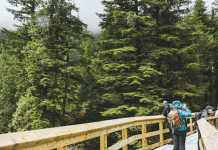 Prepping for a Hiking Excursion? Here’s Your 10 Essential Gear Checklist